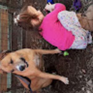 Meet your Posher, Bucko